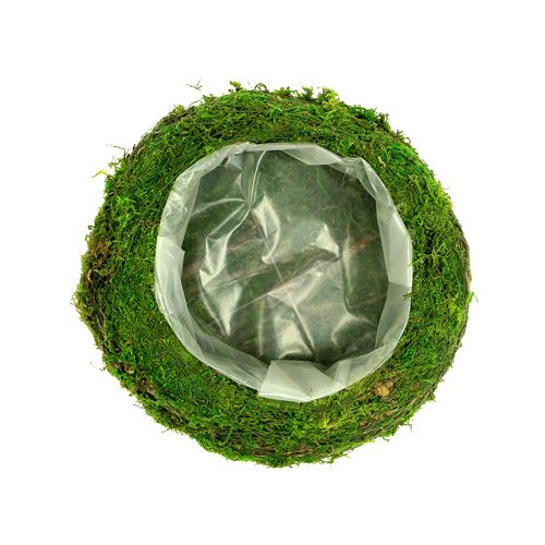 Floristik24 Planteskål mosegrener Ø20cm