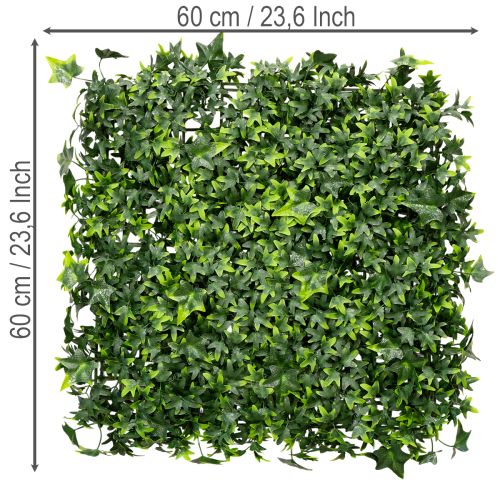 Kunstig eføymatte 60x60 cm grønn til veggdekorasjon | Floristik24.no