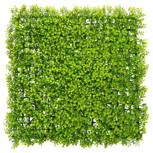 Kunstig buksbomplantematte 55x55 cm for dekorativ veggdekorasjon kjøpe | Floristik24.no