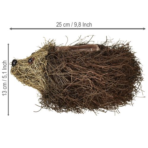 gjenstander Pinnsvinplantekasse laget av slyngplanter 22 cm x 25 cm