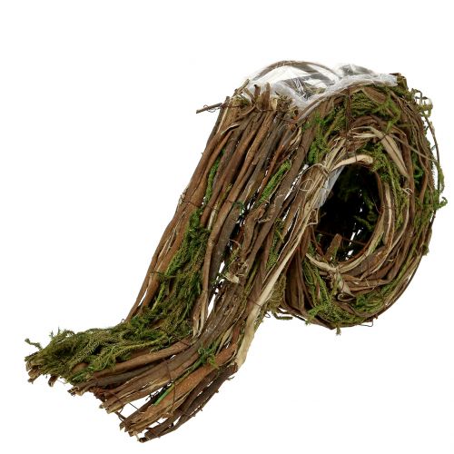 Floristik24 Plantekasse for gravdekorasjon 22cm x 40cm 1 stk