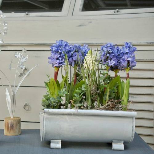 Floristik24 Planterenne 25cm