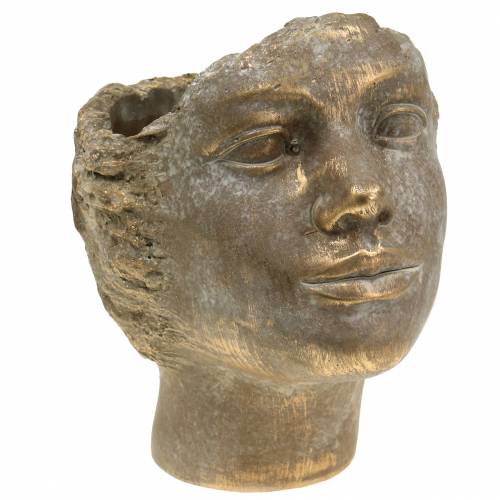 Floristik24 Hode planter plante byste gull H24cm