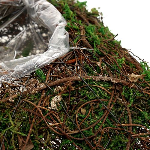 Floristik24 Plantepute vinstokk, mose 22cm x 22cm H7,5cm