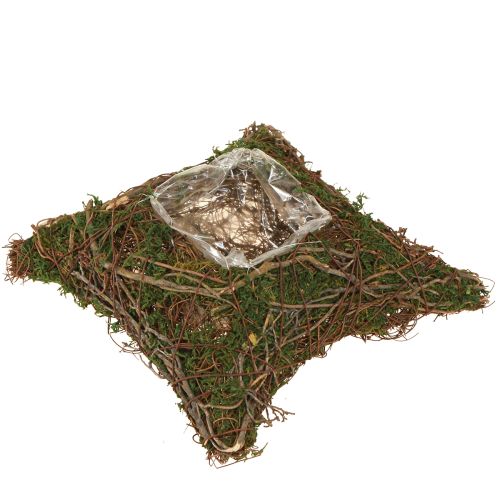 Floristik24 Plantepute lianer mose planteskål naturlig 20×20×6,5 cm