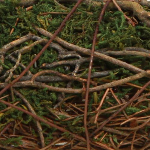 Floristik24 Plantepute lianer mose planteskål naturlig 20×20×6,5 cm