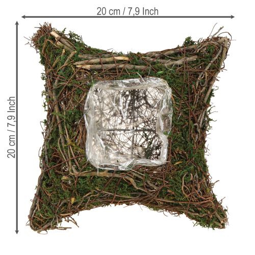 Plantepute lianer mose planteskål naturlig 20×20×6,5 cm | Floristik24.no