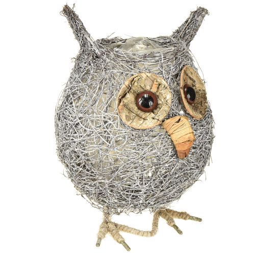 Floristik24 Plantekurv ugle vinranke hvitvasket Ø14cm