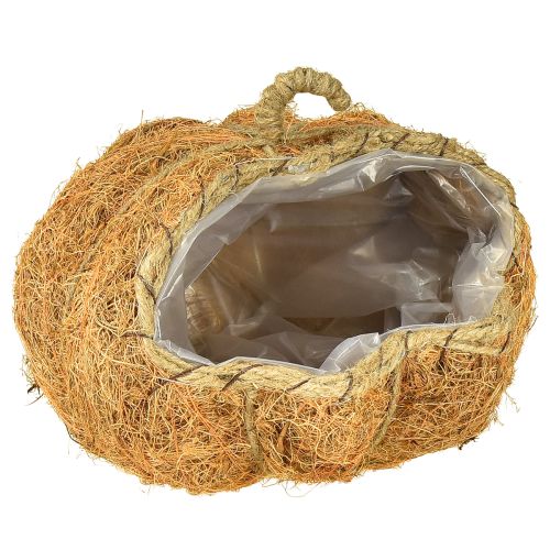 Floristik24 Plantekurv gresskar høstdekorasjon oransje Ø22cm H17cm