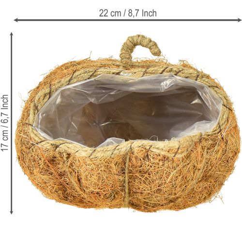 gjenstander Plantekurv gresskar høstdekorasjon oransje Ø22cm H17cm