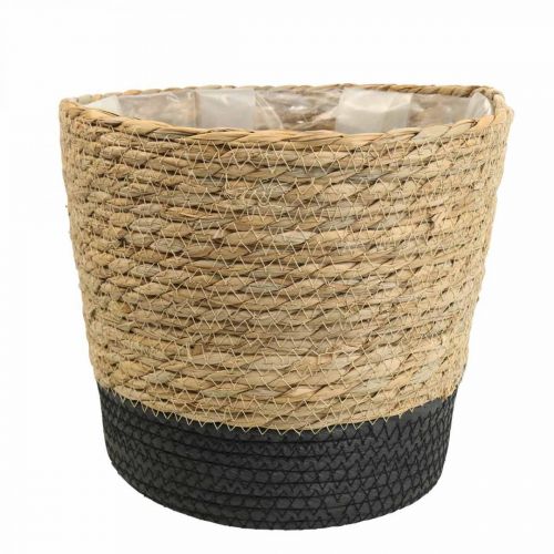 Floristik24 Plantekurv planter sjøgresskurv deco natur Ø23cm H20cm