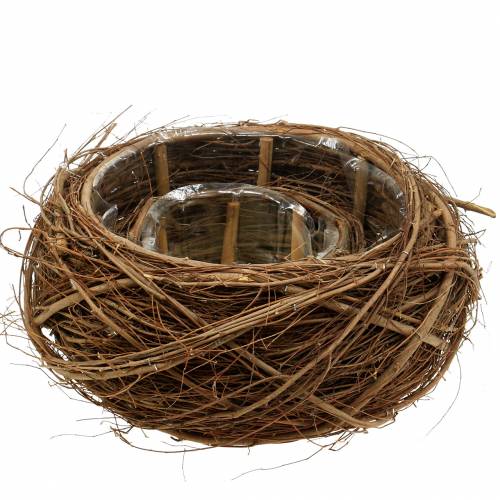 Floristik24 Plantekurv vinranker og kvister naturlig Ø37 / 28cm, sett med 2