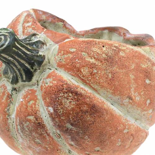 Floristik24 Gresskar til planting Appelsin 19×15×16cm