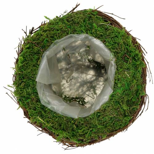 Floristik24 Planterskål rotting, mose Ø19cm H13cm