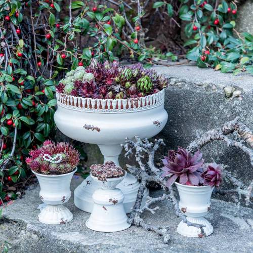 Floristik24 Plantekopp Kalk Antikkkrem Ø20cm H20cm 1 stk