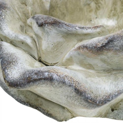 Floristik24 Betongrose, hagedekorasjon, planterose, begravelsesblomster grå, aprikos, fiolett Ø12cm L26,5cm H11cm