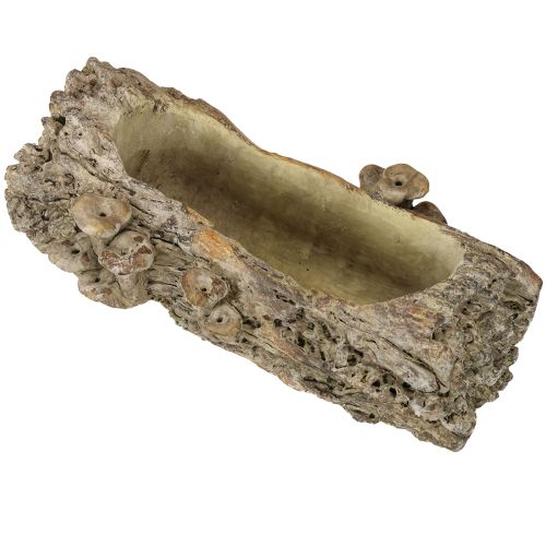 Floristik24 Plantekasse i støpt stein med sopp, 36 × 18 × 12,5 cm
