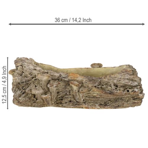 gjenstander Plantekasse i støpt stein med sopp, 36 × 18 × 12,5 cm