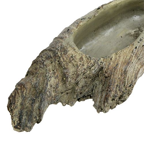 Floristik24 Planter for sukkulenter 24,5 cm x 8,5 cm H5,5 cm