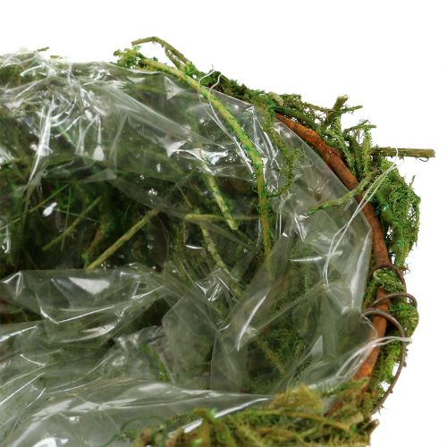 Floristik24 Planteskål med mose Ø16cm H9cm - 10cm grønn 3stk