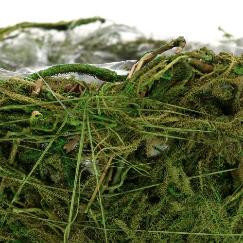 Floristik24 Planteskål med mose Ø16cm H9cm - 10cm grønn 3stk