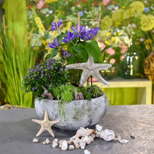 Floristik24 Planteskål antikk utseende blomsterskål patina Ø32cm H14cm