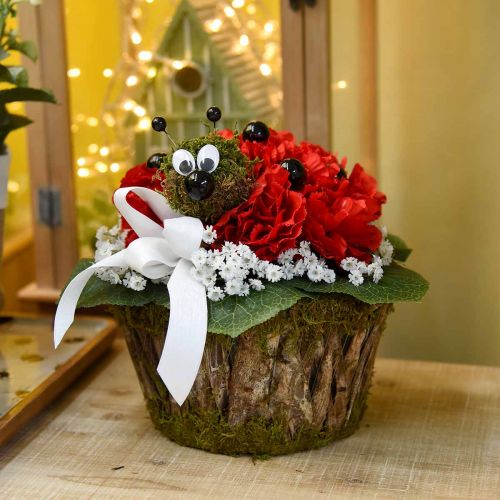 Floristik24 Planteskål mose/bark rund Ø15/20cm sett med 2 stk