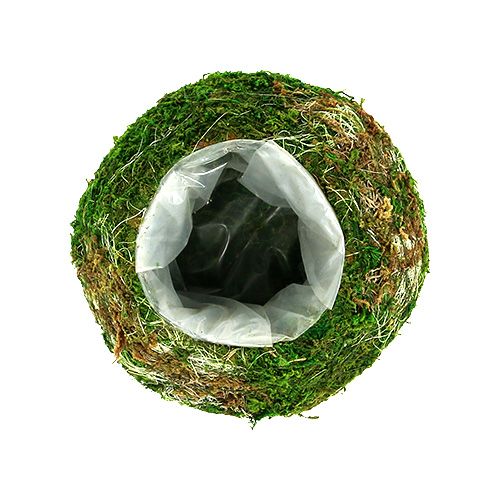 Floristik24 Planteskål moseskål Ø18cm 2stk