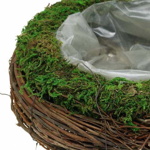 Floristik24 Planteskål rotting, mose Ø26cm H9cm