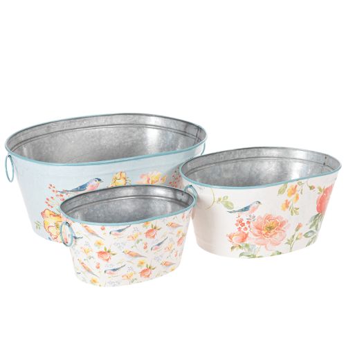 Planteskåler, vårblomst, blomster-/fuglepotter, oval metallbeholder L39/31/24,5 cm, sett med 3 kjøpe | Floristik24.no