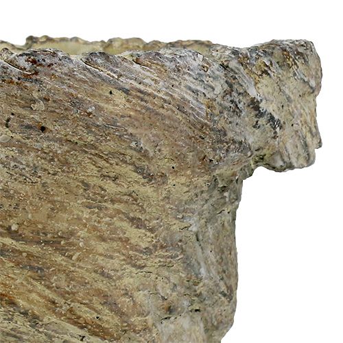 Floristik24 Plantepottestamme Ø11,5cm H14cm 2stk