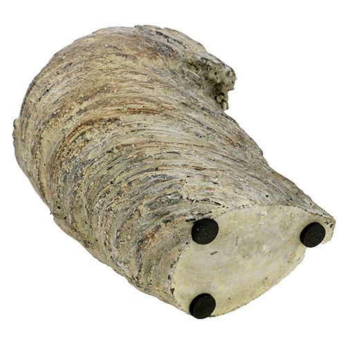 Floristik24 Plantepottestamme Ø11,5cm H14cm 2stk