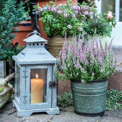 Floristik24 Plantepotte oransje, brun, grønn Ø17cm H16,5cm sett med 3 stk