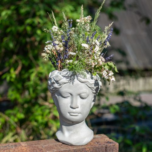 Floristik24 Plantepottebyste hvitvasket plantehode betong Ø10cm H21cm