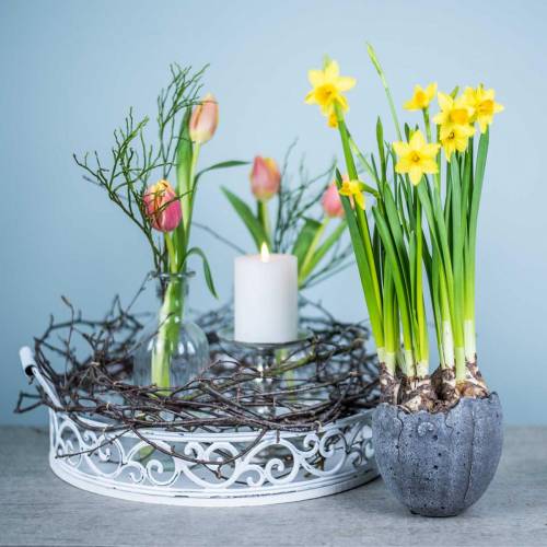 Floristik24 Plantegryte eggeskall Ø12cm H11,5cm 6stk