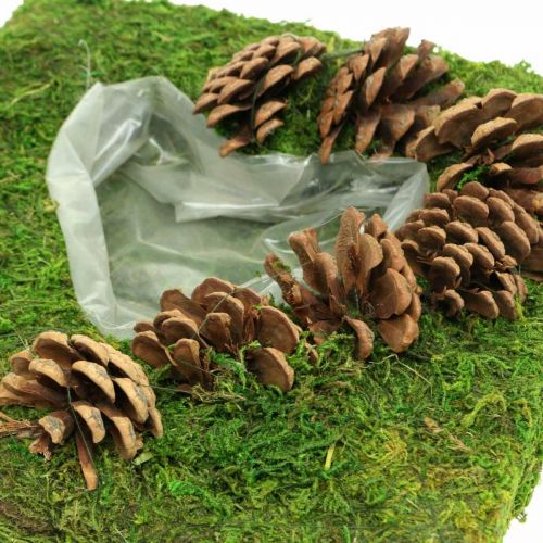 Floristik24 Plantepute hjertemos og kegler firkantet 25 × 25cm