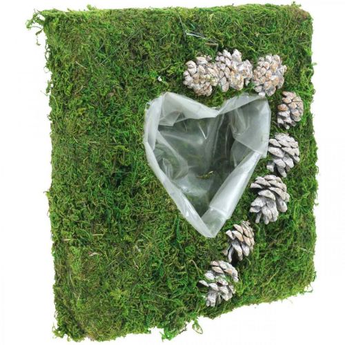 Floristik24 Plantepute hjertemos og kongler, vasket hvit 25 × 25cm