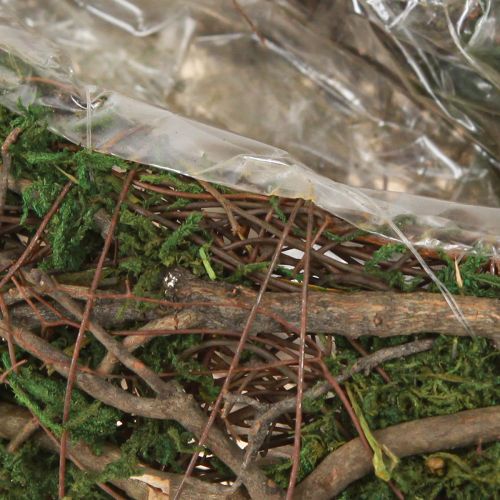 Floristik24 Plant Wave Vines liten planteskål med mose 31 × 15 × 7 cm