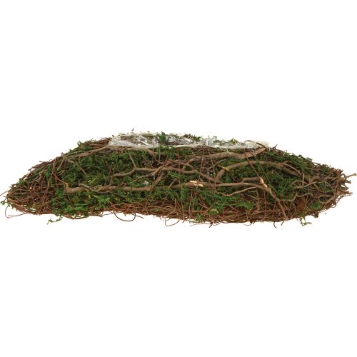 Floristik24 Plant Wave Vines liten planteskål med mose 31 × 15 × 7 cm
