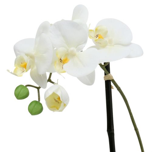 gjenstander Phalaenopsis hvit i bolle blomsterdekorasjon H38cm