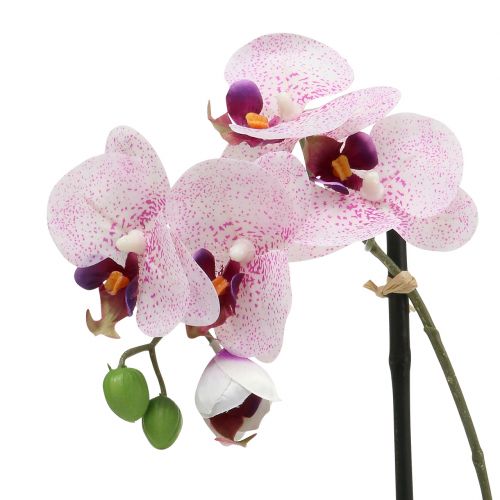 Floristik24 Kunstig Phalaenopsis lilla-hvit i bolle H38cm