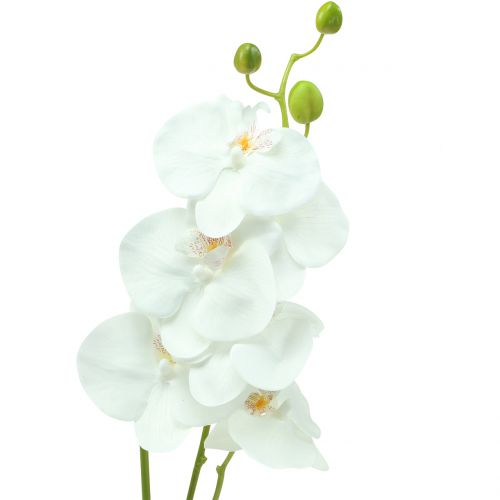 Floristik24 Orkidé Phalaenopsis kunstig hvit 80cm
