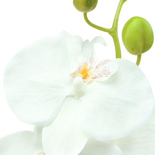 gjenstander Orkidé Phalaenopsis kunstig hvit 80cm