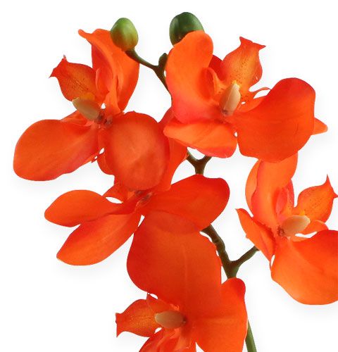gjenstander Kunstig orkide med blader oransje 35cm
