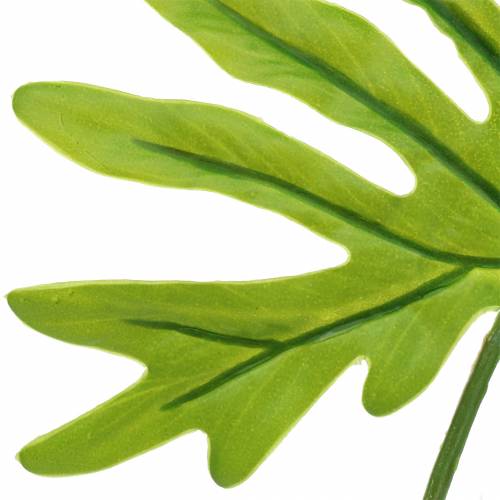 gjenstander Philodendron Bladgrønn 40cm