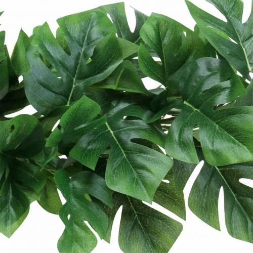 Floristik24 Philodendron henger grønn 85cm