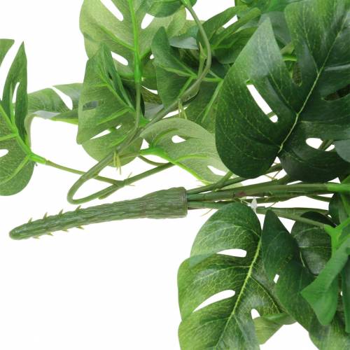 Floristik24 Philodendron henger grønn 85cm