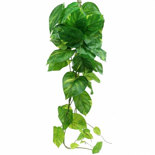 Floristik24 Kunstig philodendron henger 110cm