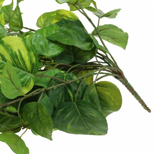 gjenstander Philodendron henger 80cm