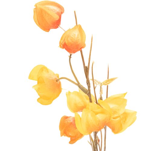 Kunstig kinesisk lanterneplante, Physalis-gren med blomster, 95 cm | Floristik24.no